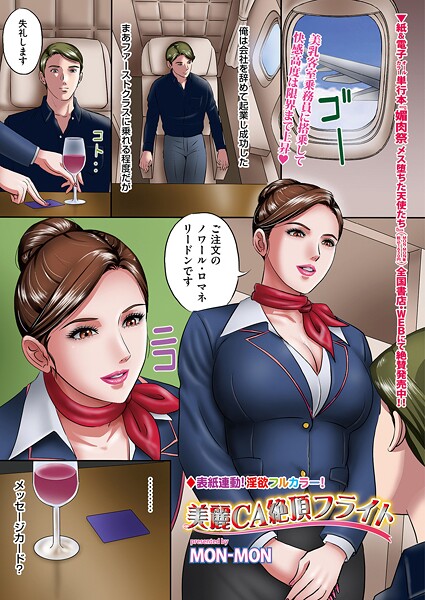美麗CA絶頂フライト