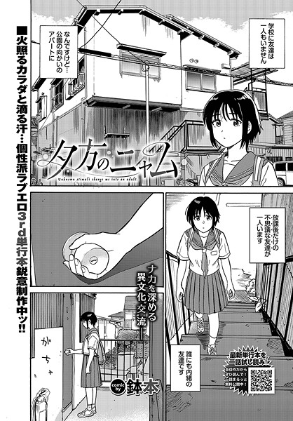 夕方のニャム