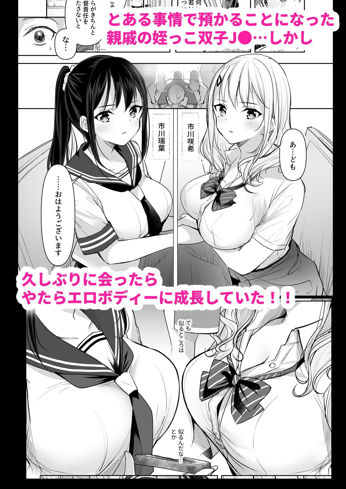 僕の姪は巨乳でビッチな双子JK〜弄ばれる性活事情〜 画像2