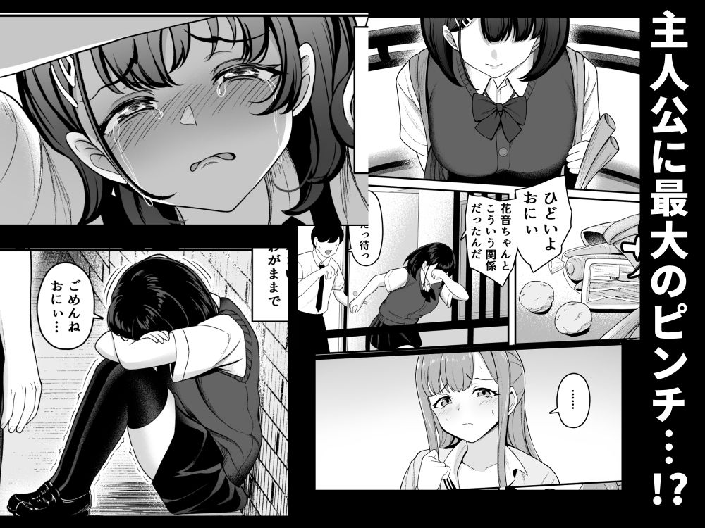 お家ハーレム！？  Sっ気の義妹とMっ気の幼馴染！ 画像10