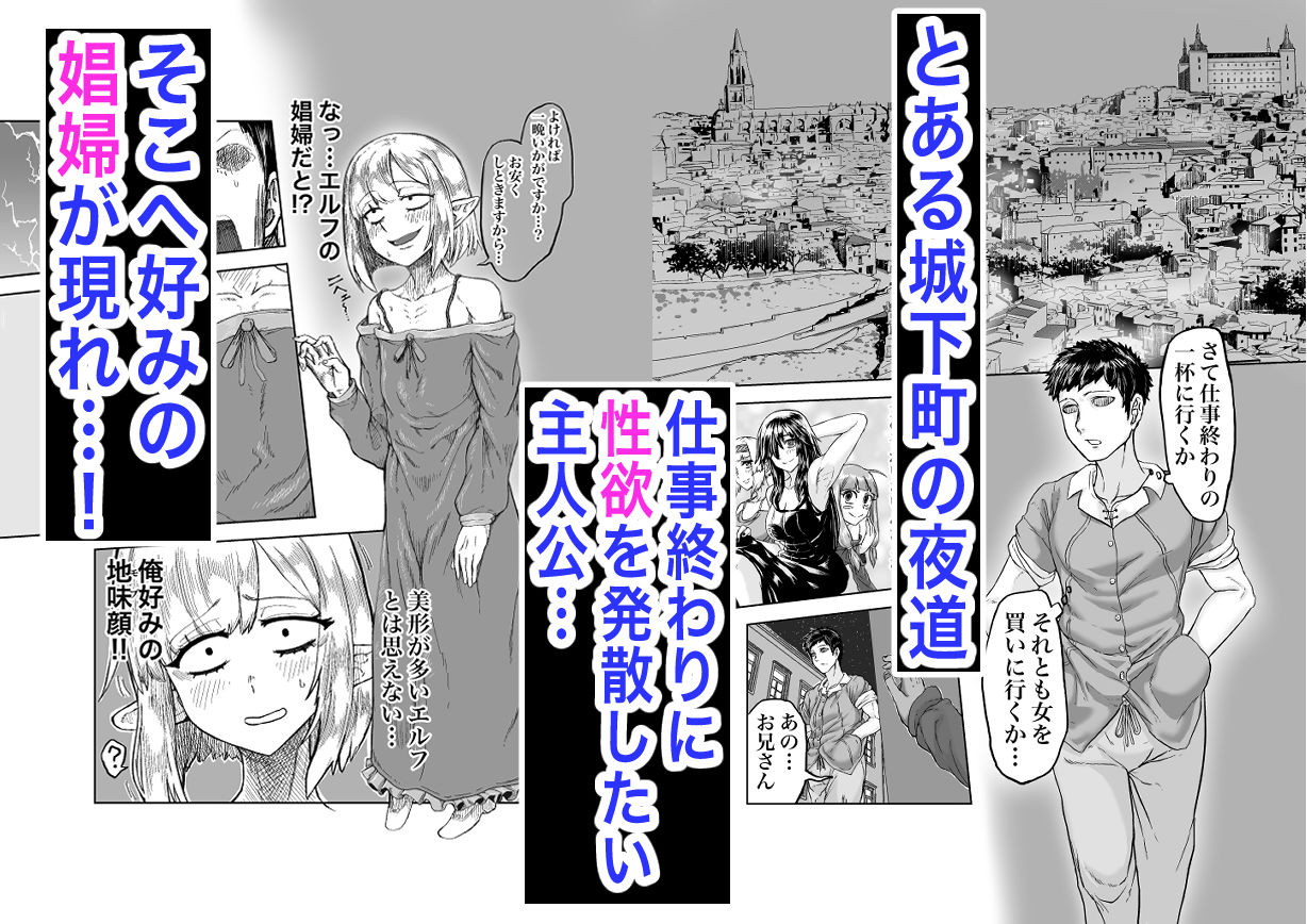 風呂嫌いな地味顔エルフの娼婦を騙して嫁にする 画像2