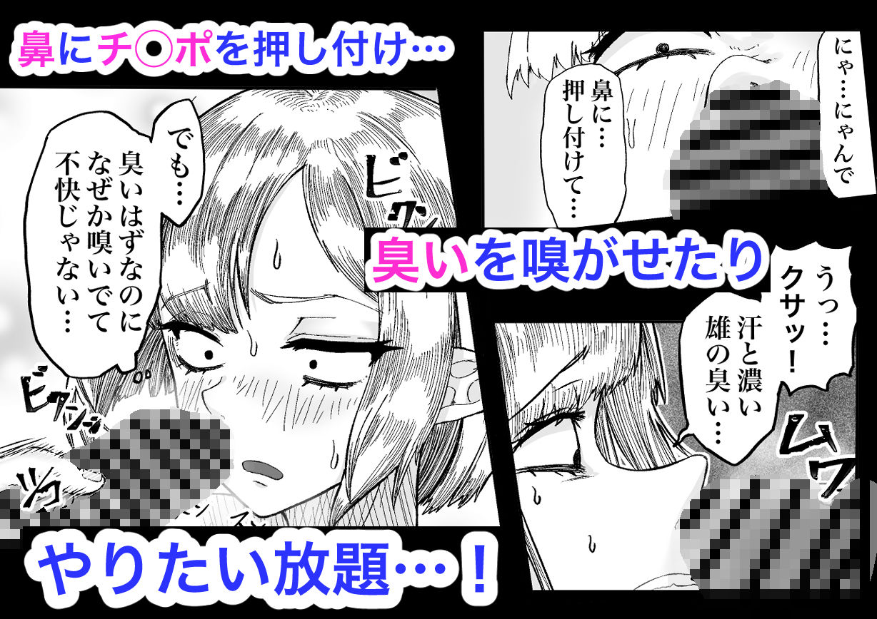 風呂嫌いな地味顔エルフの娼婦を騙して嫁にする 画像5