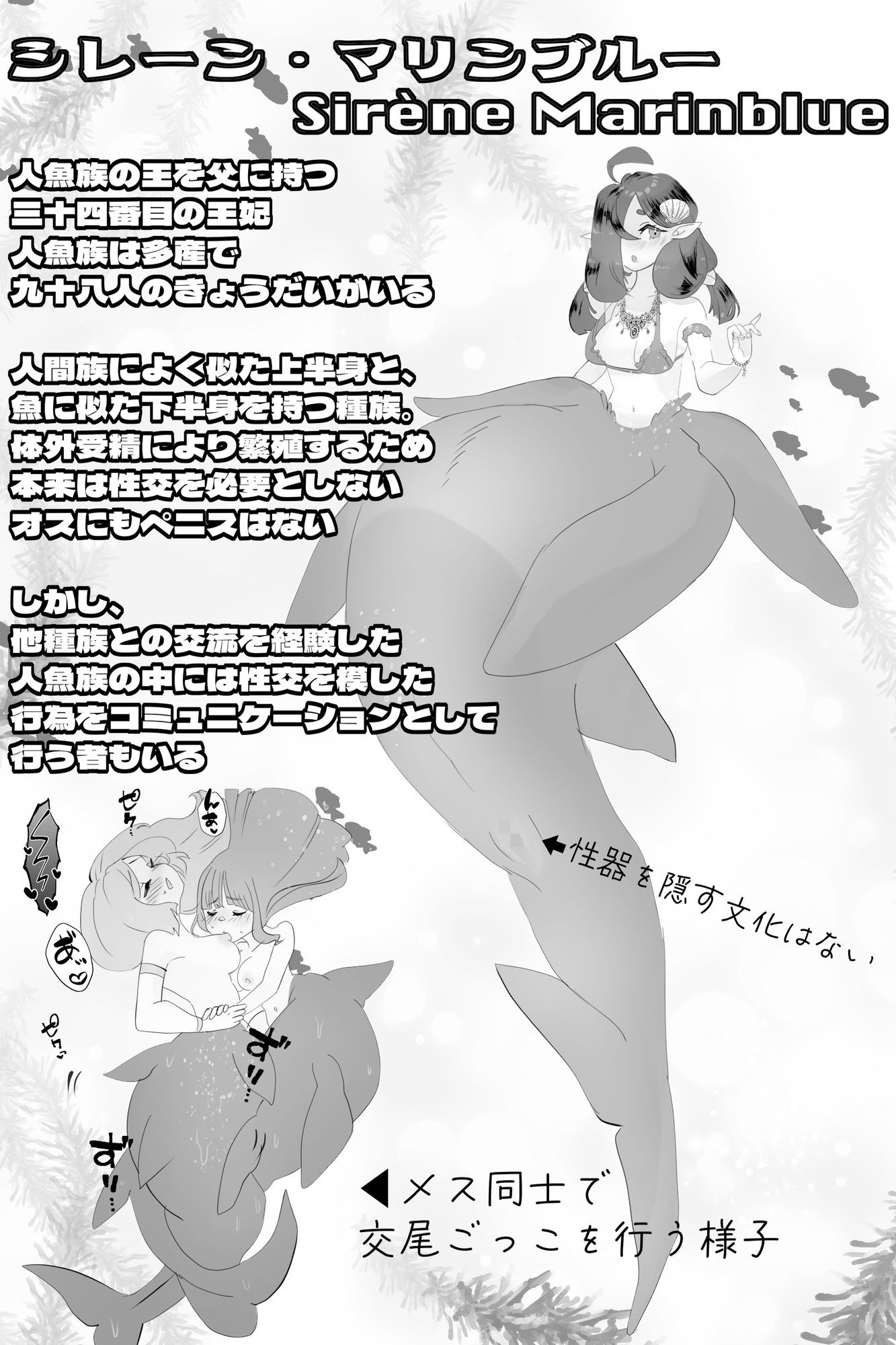 異世界憑依紀行ー有翼人とマーメイドー 画像5