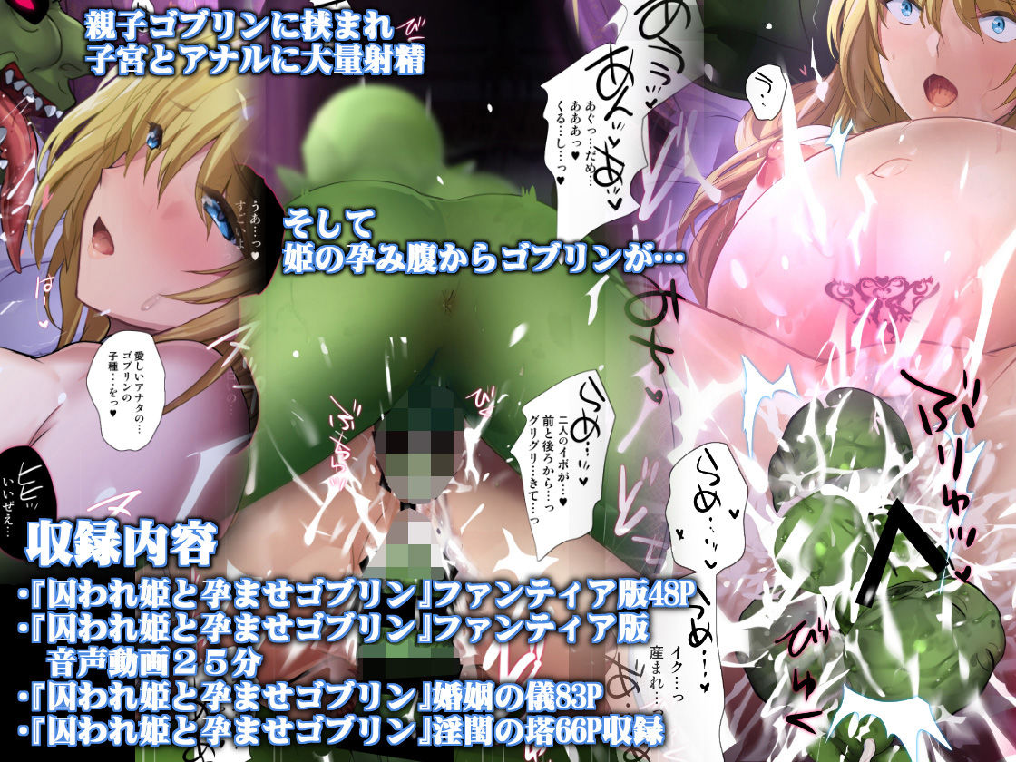 囚われ姫と孕ませゴブリン 画像5