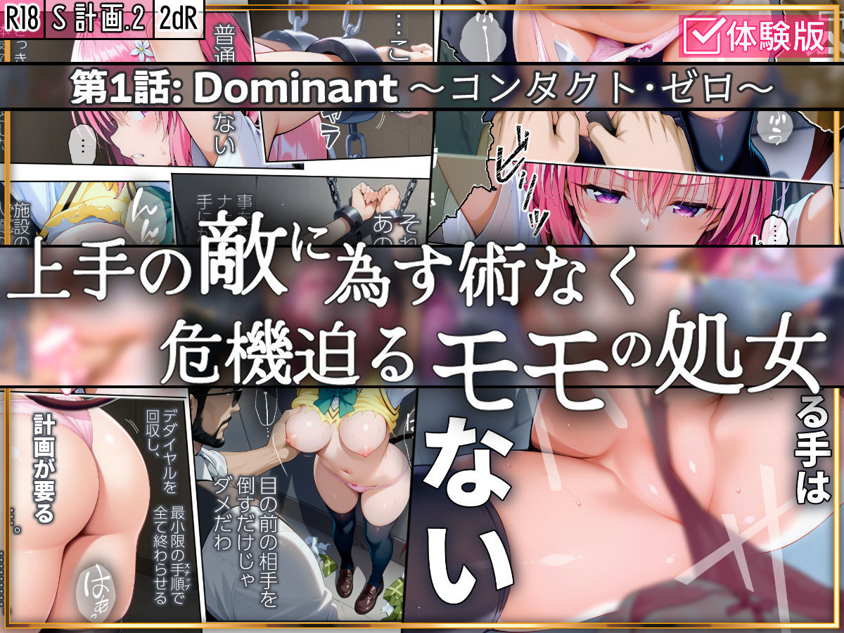 S計画.2 〜第3王女・モモ、奴◯堕ち〜 画像4