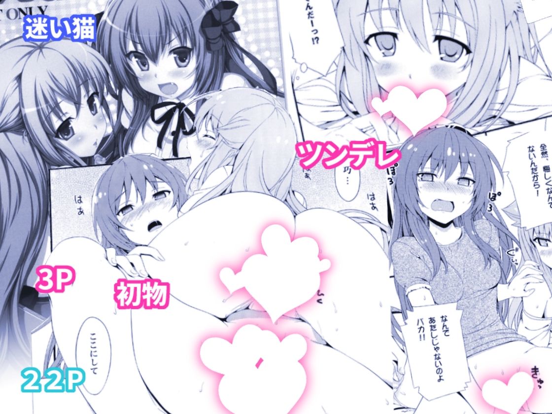ねこはまんまがうつくしい 最初のまとめ本 画像5