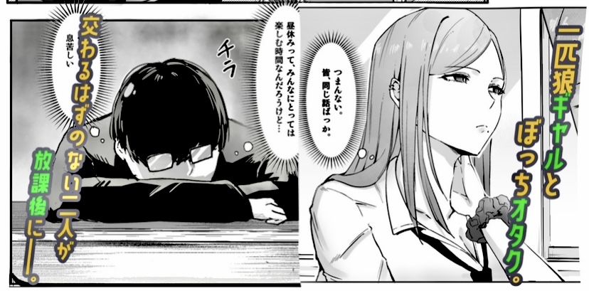 一匹狼ギャルとぼっちオタク、甘くとろける放課後 画像2