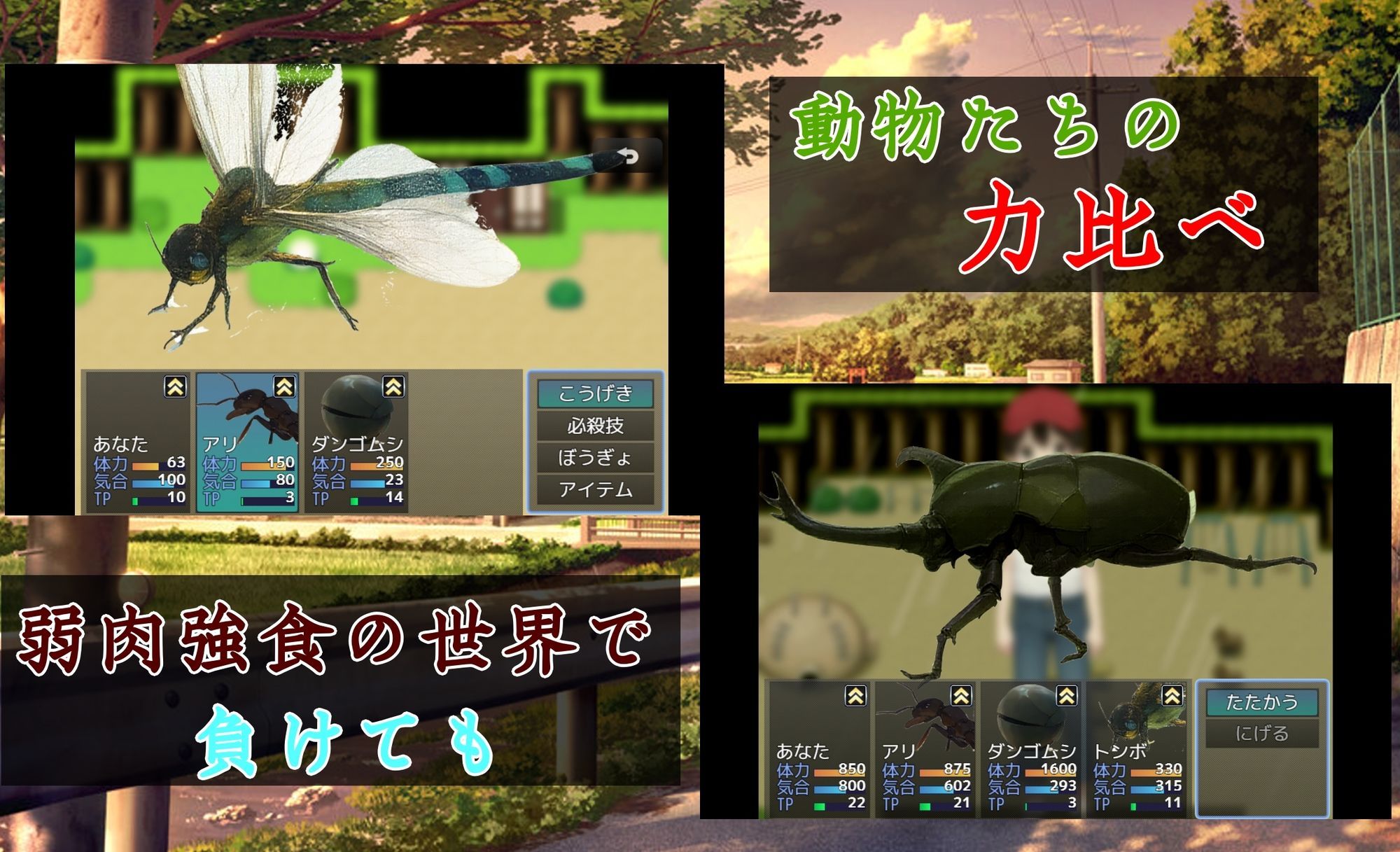 ヨリドコロ ー男系女子との夏の思い出。ー 画像7