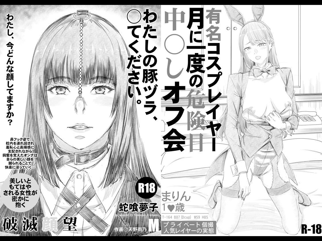 限定本10作品総集編プラス 画像5