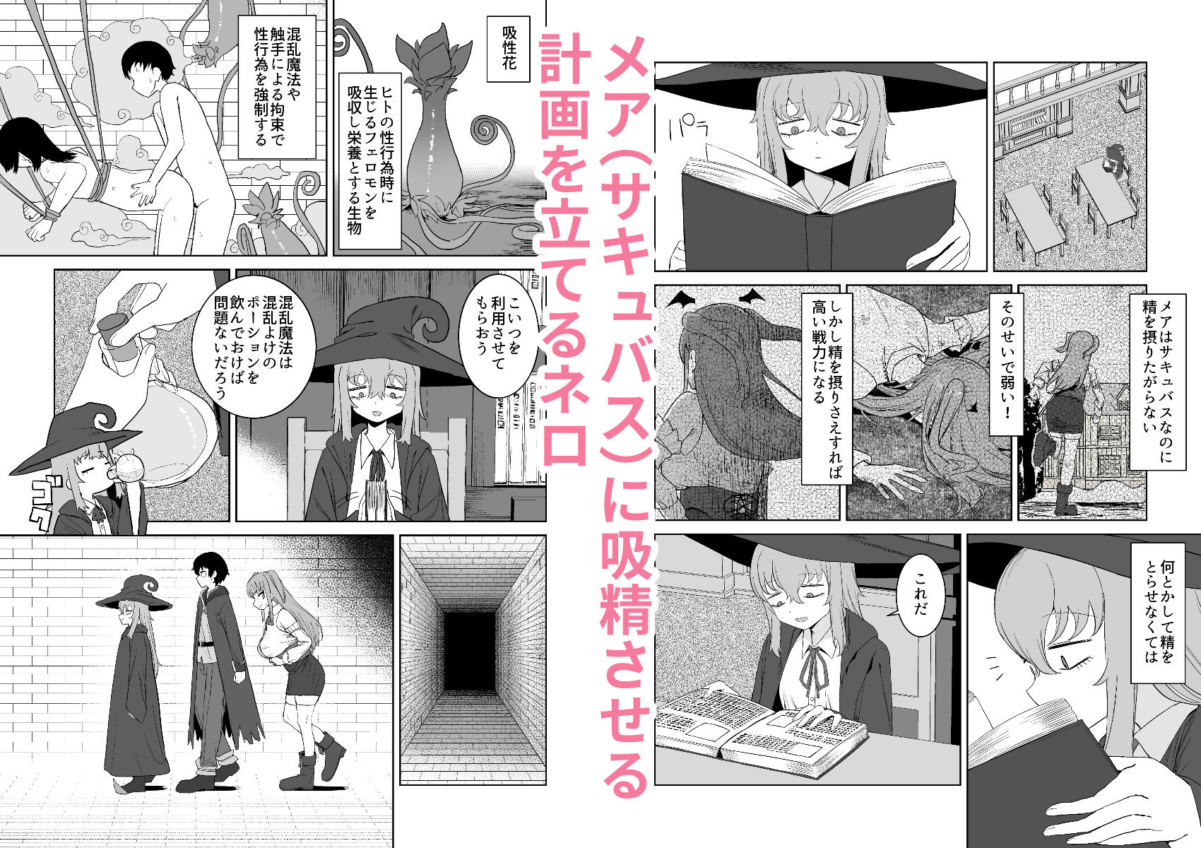 サキュバスが混乱している間に 画像1