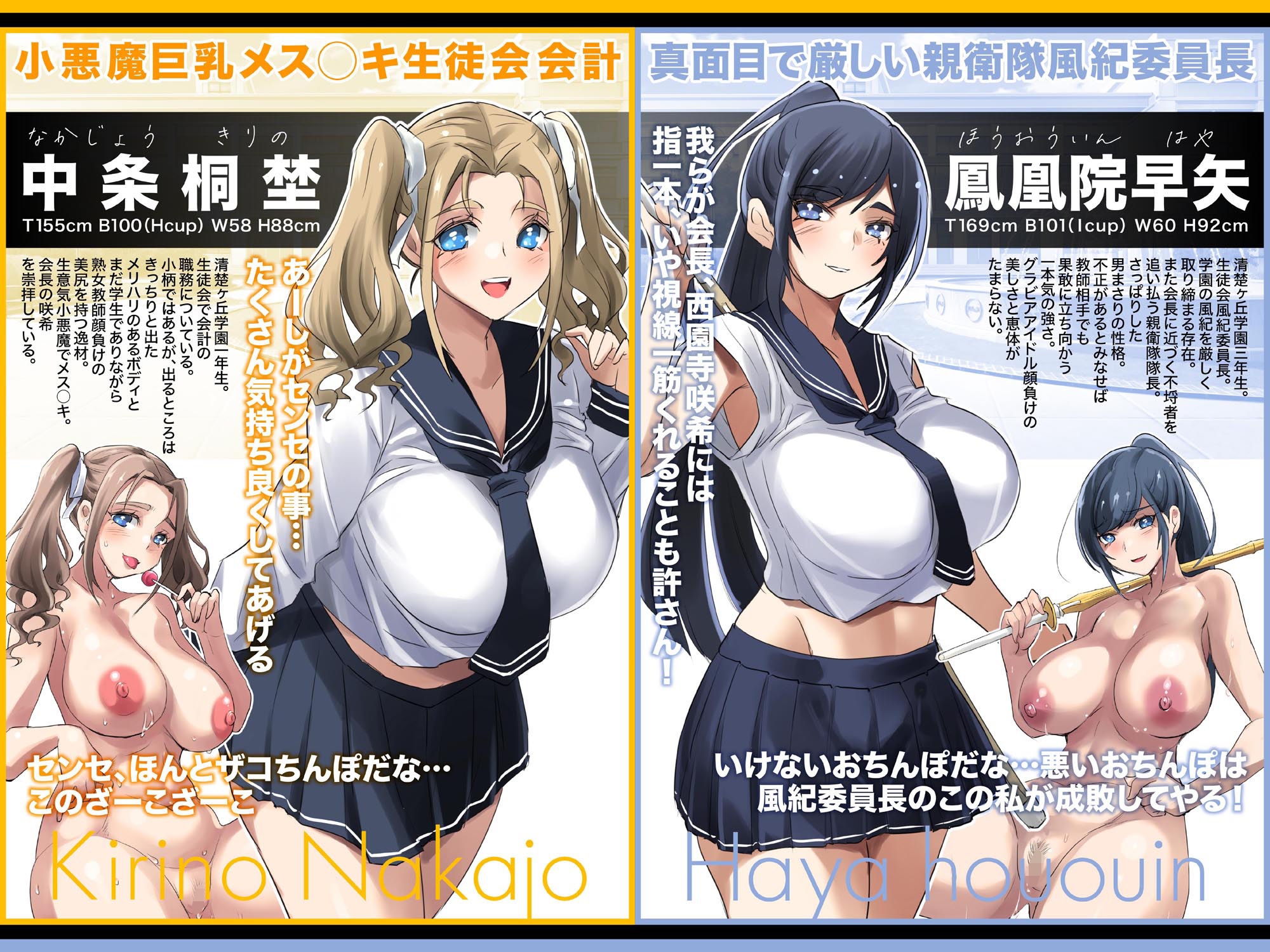 清楚で巨乳なお嬢様はおじさんチンポ大好き【おほ声ど痴女娘】 画像2