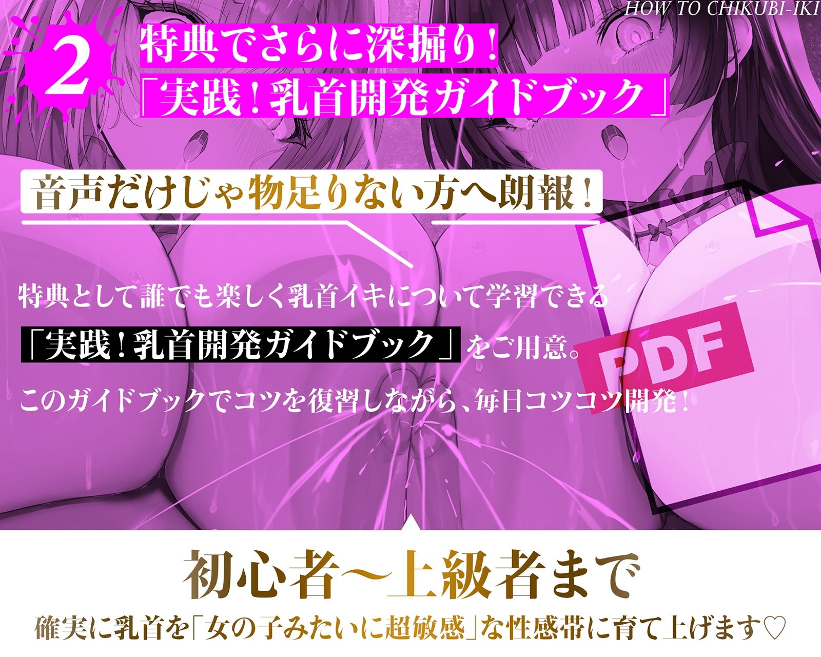 乳首で【イク】！メソッド」〜初心者から上級者まで本当に誰でも乳首でイケる『実用』開発メソッド完全版 画像4