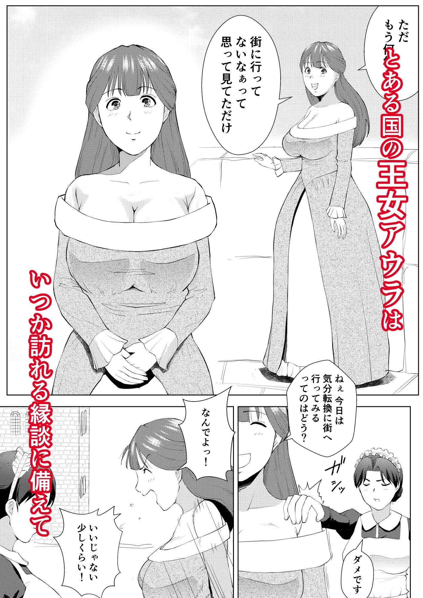無知な王女のお仕事体験 娼館で初めての性交 画像1