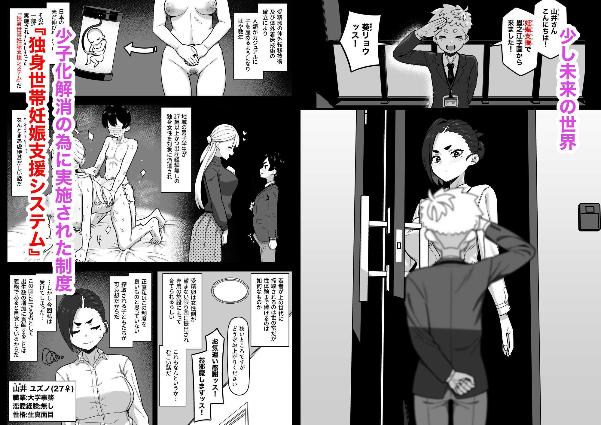 独身世帯妊娠支援システム 画像1
