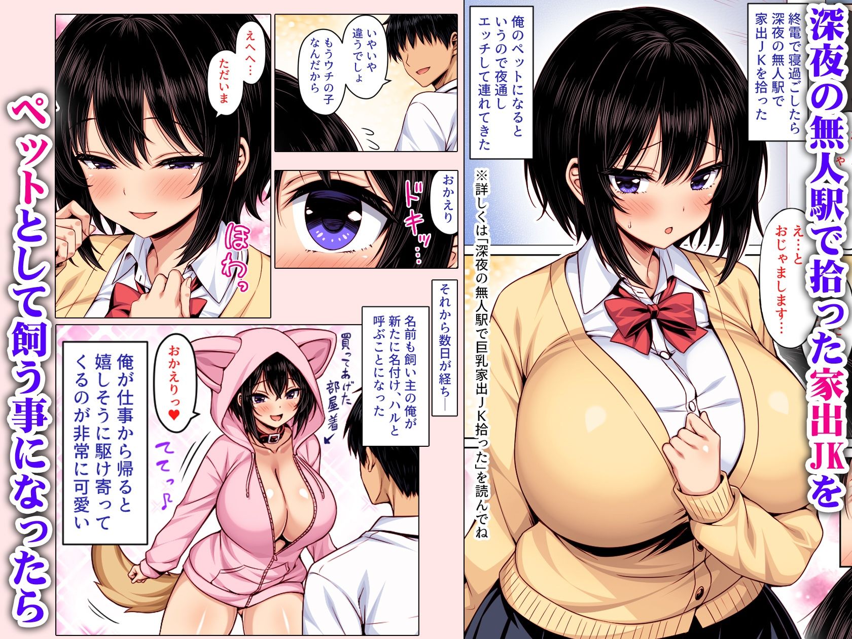 深夜の無人駅で拾った巨乳家出JKの飼い主の日常  カラー版 画像1