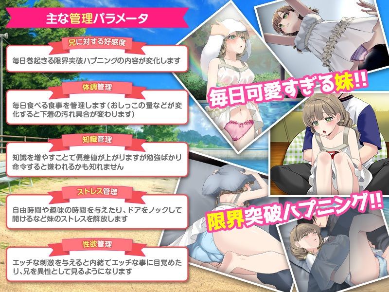 いもしむ  お兄ちゃん監修！妹育成シミュレーター 画像3