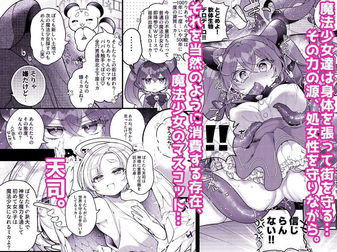 だったらあんたが魔法少女になりなさいよ!! 画像1