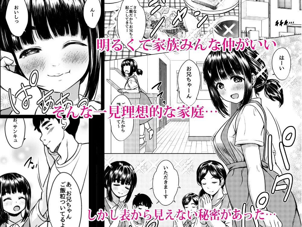 兄妹が終わる時 〜可愛く成長した妹に壊れた兄が手を出すまで〜 画像1