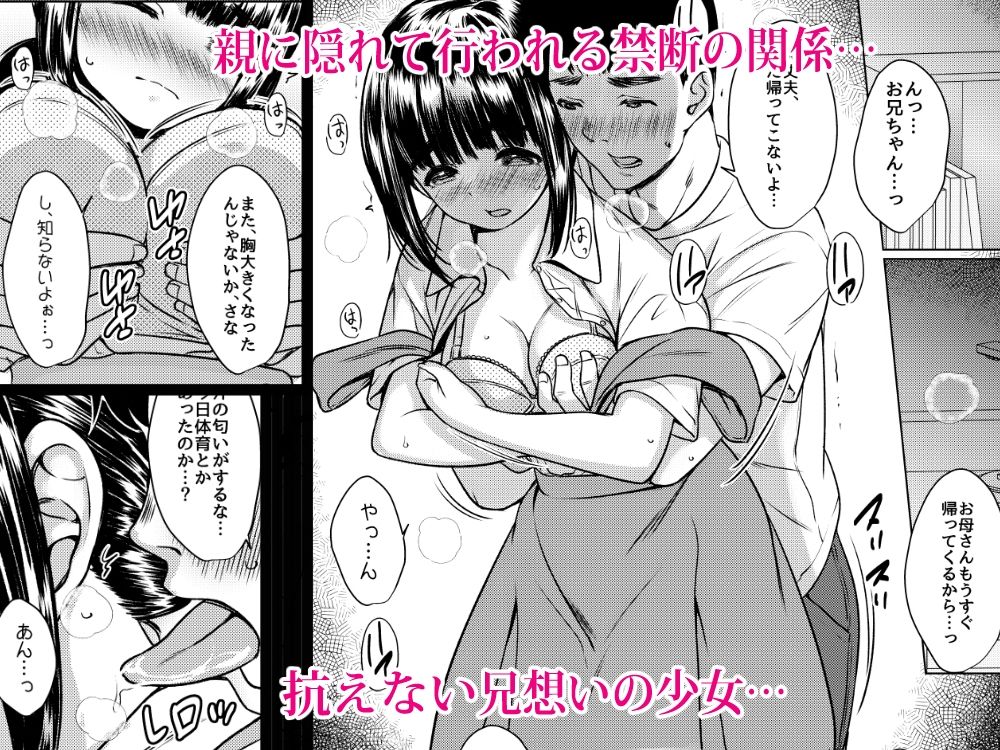 兄妹が終わる時 〜可愛く成長した妹に壊れた兄が手を出すまで〜 画像2