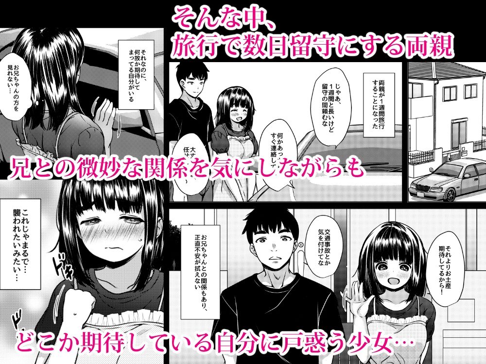兄妹が終わる時 〜可愛く成長した妹に壊れた兄が手を出すまで〜 画像4