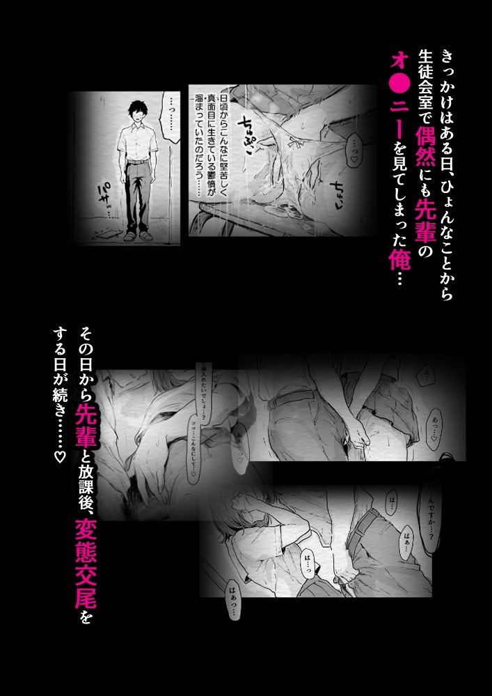 みんなの憧れの生徒会長は実は淫乱痴女で俺と放課後,変態交尾しまくり 画像2