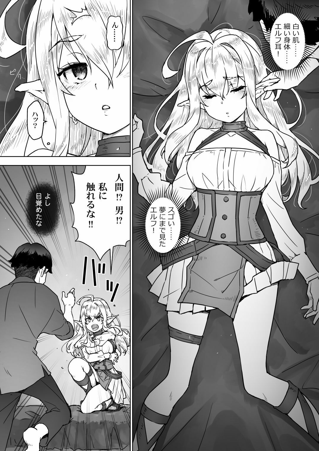 異世界エルフはイかされない! 画像3